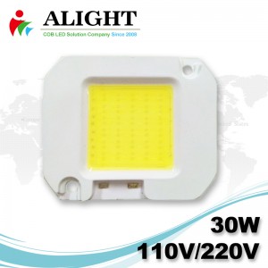 30W 110V/220V AC COB LED Dimmable with LED-Holder