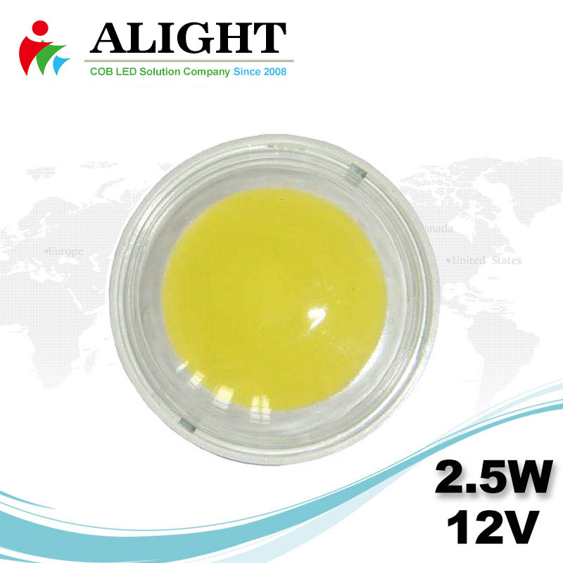 2.5W 12V Round DC COB LED