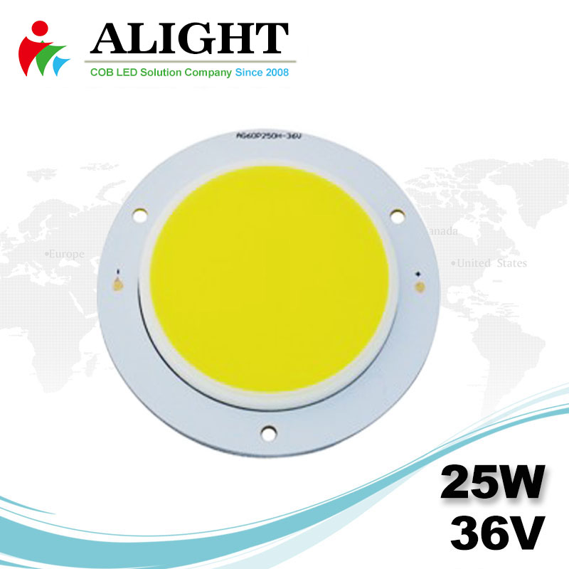 25W 36V Round COB LED