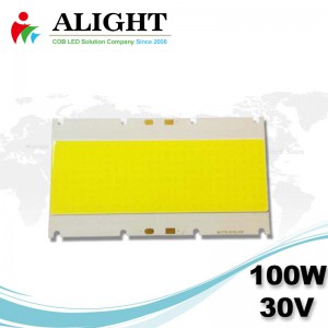 100W 30V Retangle DC COB LED