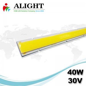 40W 30V Linear DC COB LED