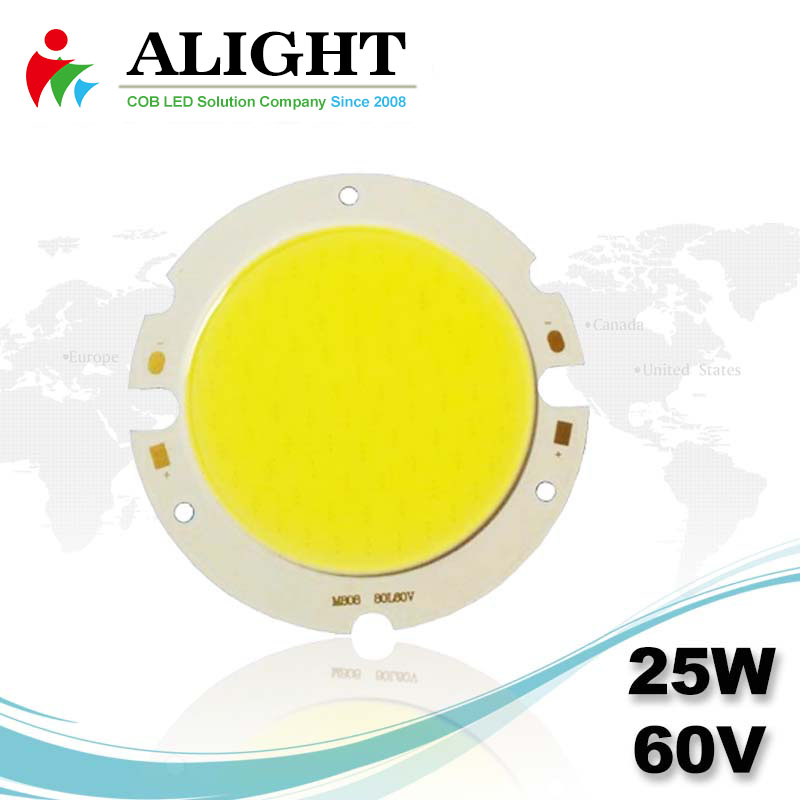 25W 60V Round DC COB LED