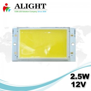 2.5W 12V Rectangle DC COB LED