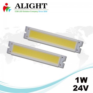 1W 24V Rectangle DC COB LED