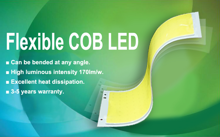 Flexible COB LED Revolution (FPC COB Panel Vs OLED Tech)