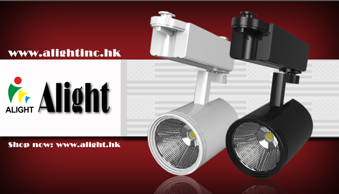 20W COB LED Track Light / Orientable