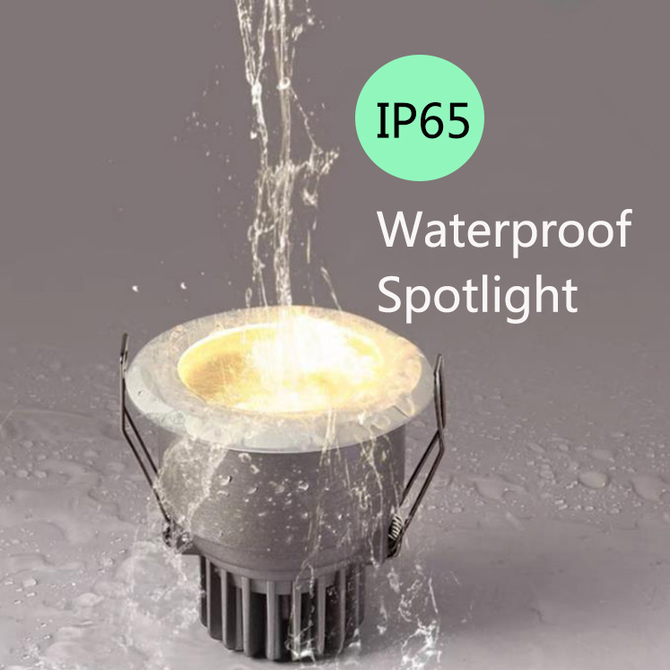 IP65 Waterproof Downlight Spotlight