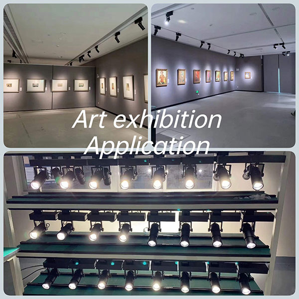 Art Exhibition Lighting Case