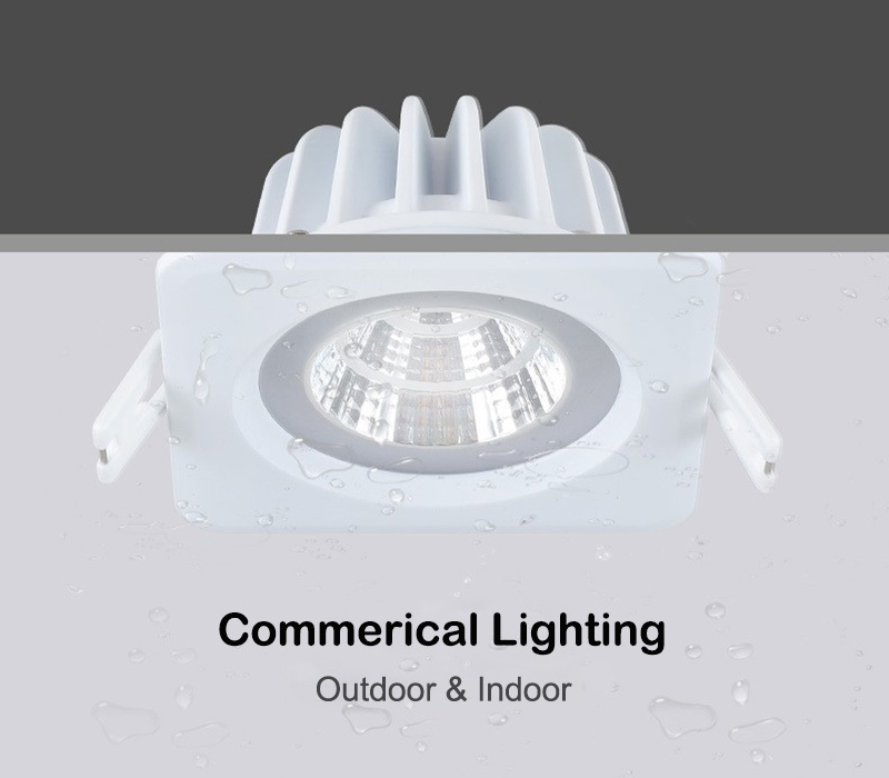 IP65 Waterproof Down Light