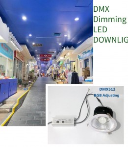 DMX led downlight with RGB dimming application case